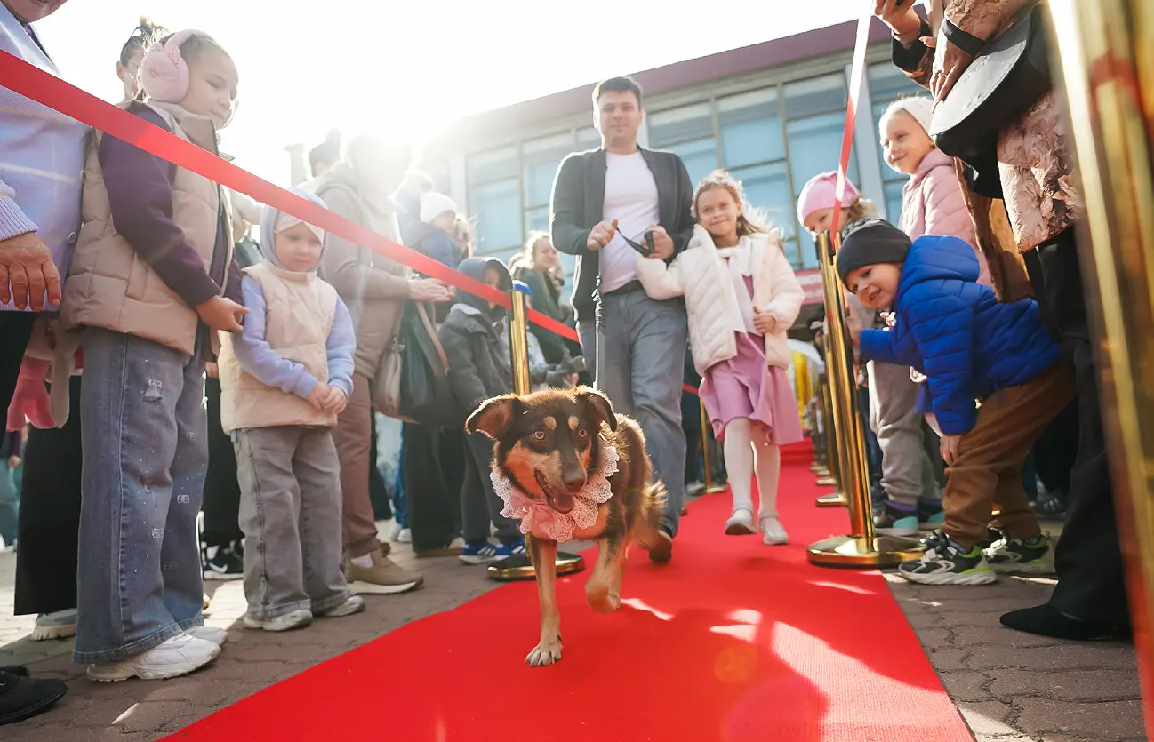 Фестиваль любви к животным «ПушистыйФест»